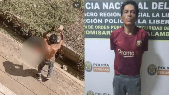 Detienen a sujeto acusado de asesinar a perrito a ladrillazos en Trujillo