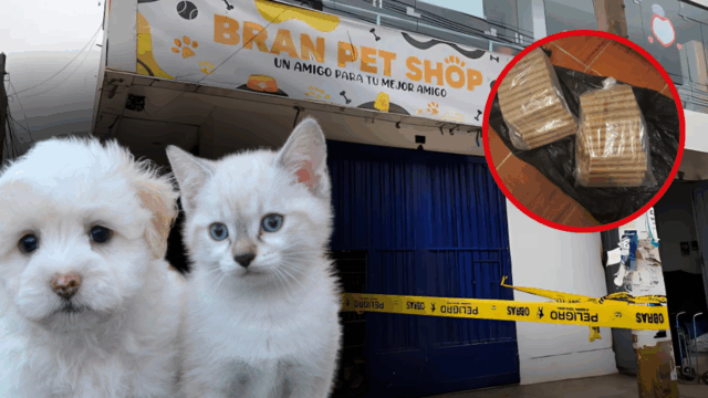 Ataque explosivo a veterinaria en Comas: Animales sobreviven milagrosamente
